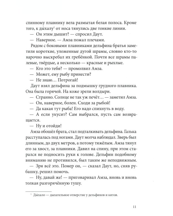 Брат мой Бзоу