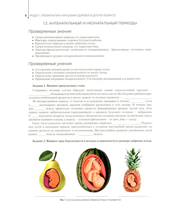 Здоровый образ жизни и профилактика заболеваний в разные возрастные периоды. Рабочая тетрадь