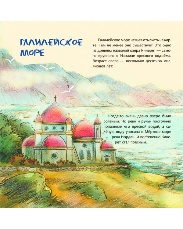 Израиль. Страна анемонов