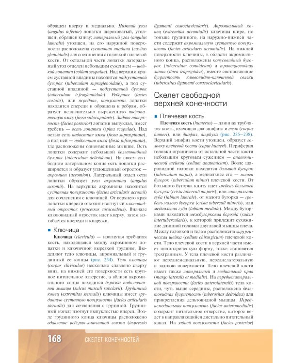 Анатомия человека: атлас: Учебное пособие. В 3 т. Т. 1
