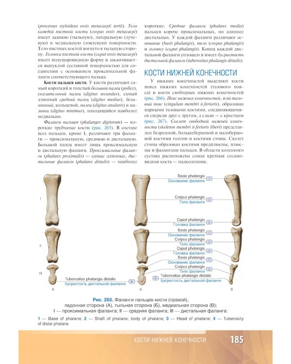 Анатомия человека: атлас: Учебное пособие. В 3 т. Т. 1