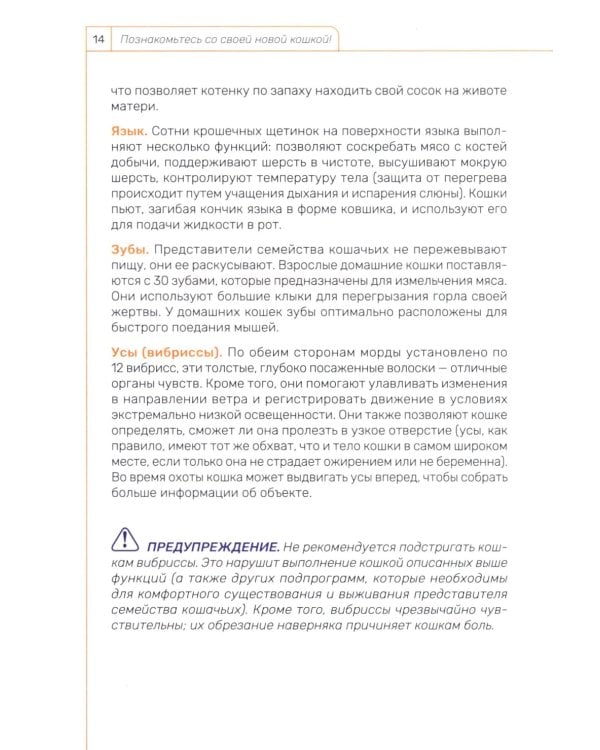 Кошка. Руководство пользователя
