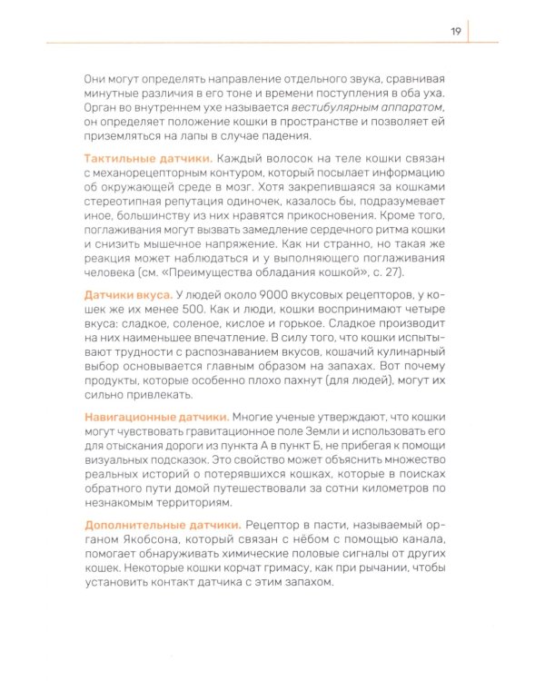 Кошка. Руководство пользователя