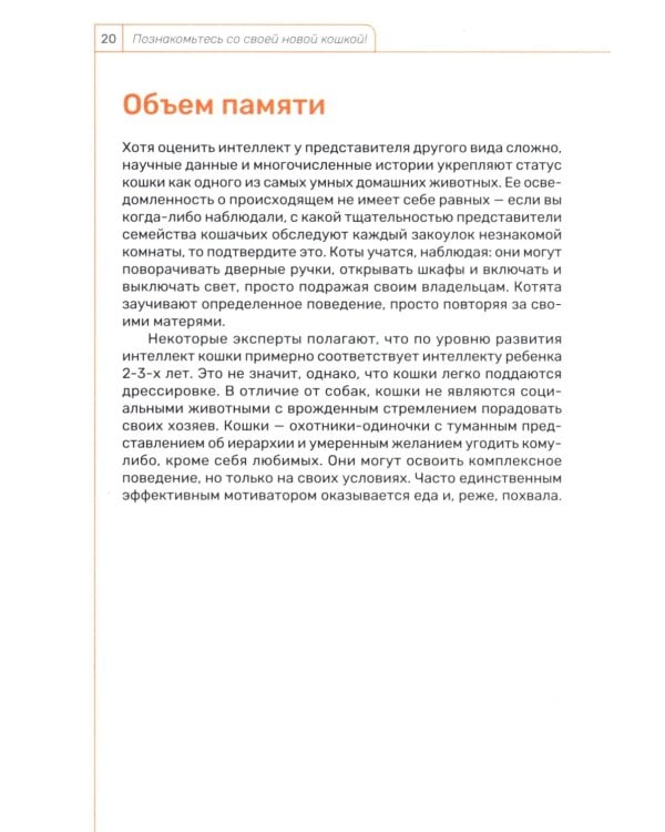 Кошка. Руководство пользователя