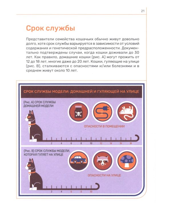 Кошка. Руководство пользователя