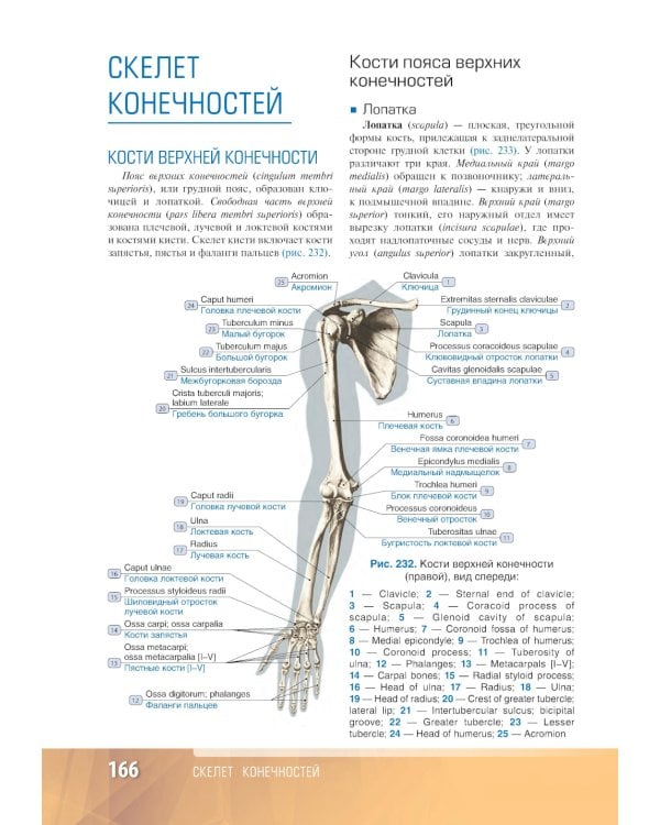 Анатомия человека: атлас: Учебное пособие. В 3 т. Т. 1