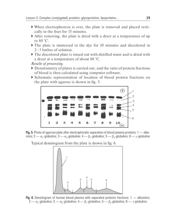 Laboratory Manual on Biological Chemistry: for foreign students of Medical Department of Higher Education Institutions: tutorial