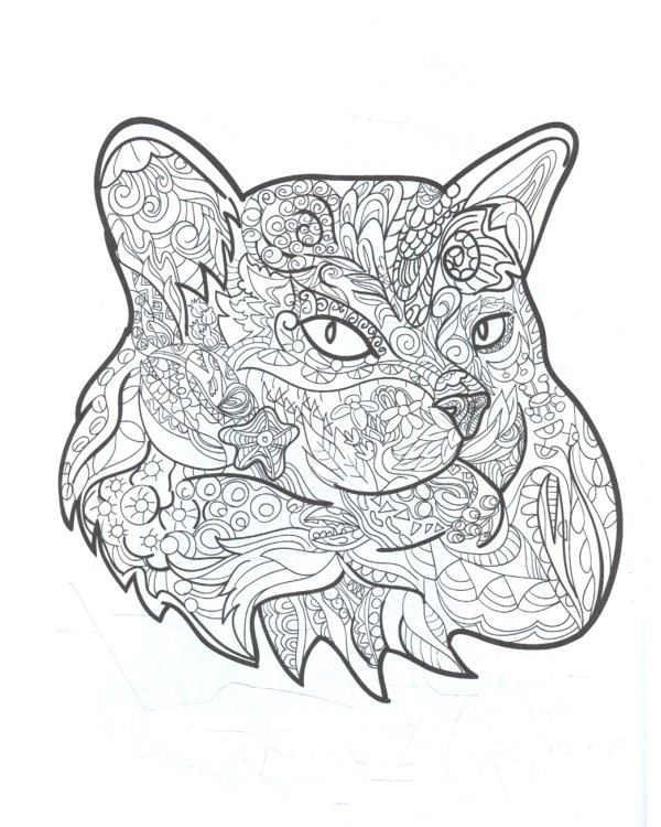 Cats. Творческая раскраска замурчательных котиков