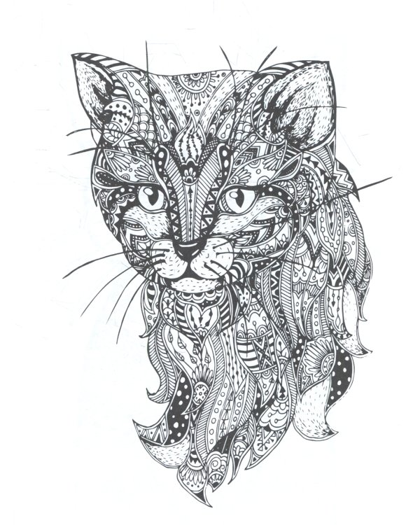 Cats. Творческая раскраска замурчательных котиков