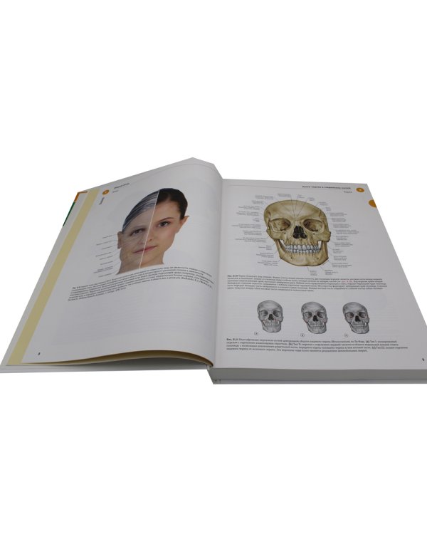 Sobotta. Атлас анатомии человека. В 3 т. Т. 3: Голова, шея и нейроанатомия. 2-е изд