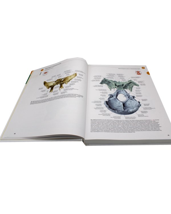 Sobotta. Атлас анатомии человека. В 3 т. Т. 3: Голова, шея и нейроанатомия. 2-е изд