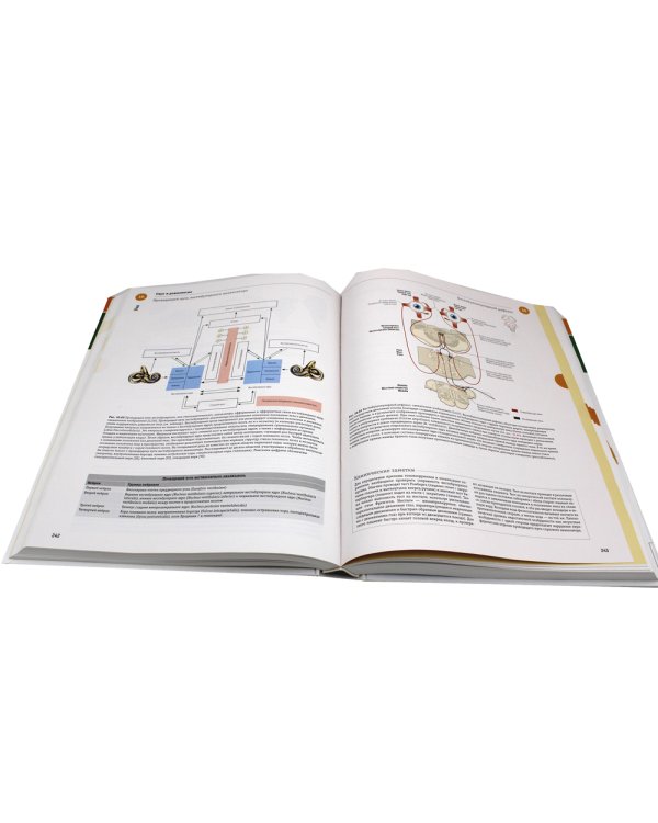 Sobotta. Атлас анатомии человека. В 3 т. Т. 3: Голова, шея и нейроанатомия. 2-е изд