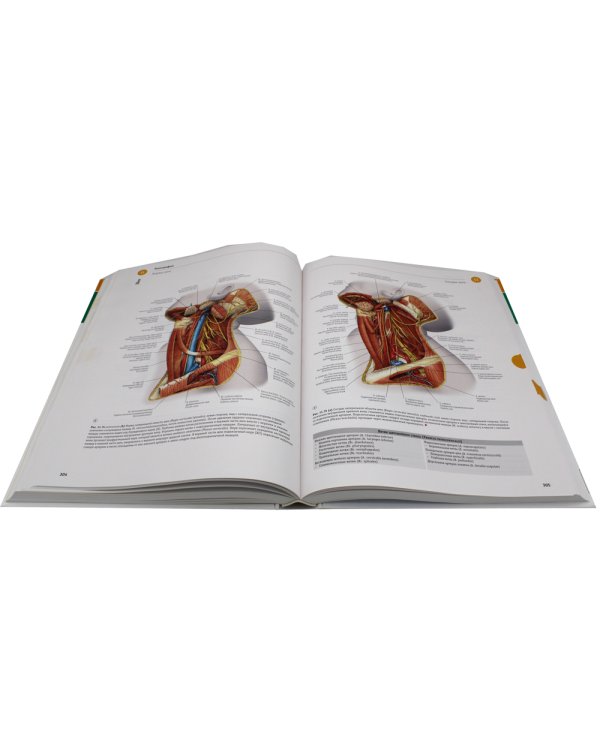 Sobotta. Атлас анатомии человека. В 3 т. Т. 3: Голова, шея и нейроанатомия. 2-е изд