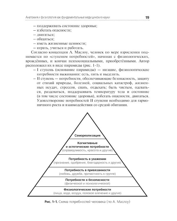 Анатомия и физиология человека: Учебник. 4-е изд., перераб. и доп