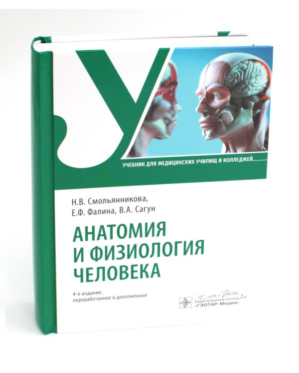 Анатомия и физиология человека: Учебник. 4-е изд., перераб. и доп