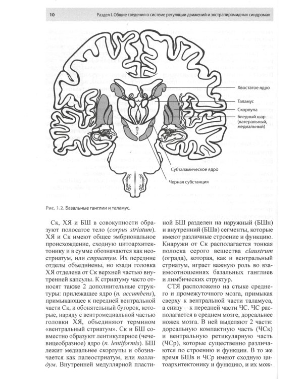 Экстрапирамидные синдромы. Руководство для врачей