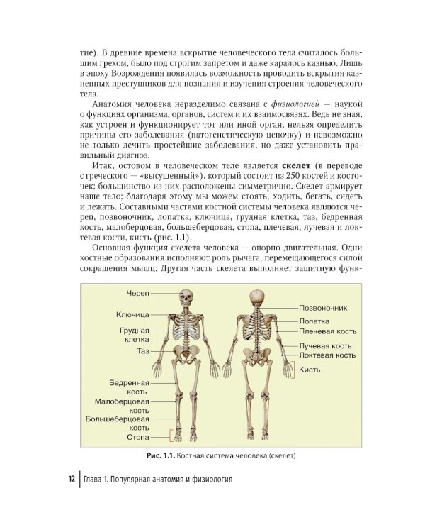 Первая помощь в быту и на производстве