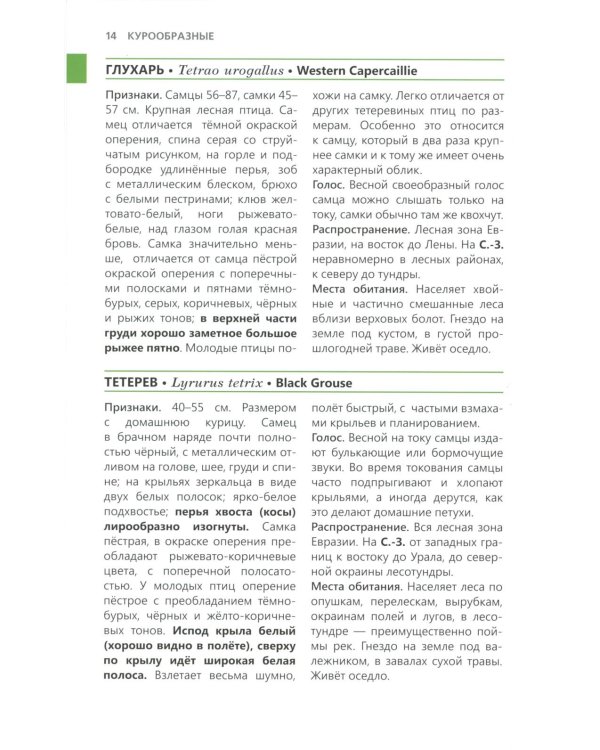 Птицы Северо-Запада; Птицы Москвы и Подмосковья (комплект из 2-х книг)