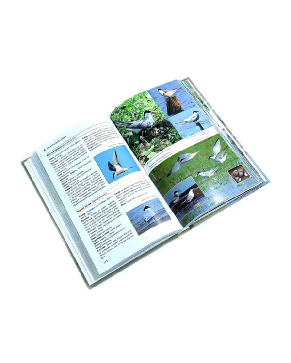 Птицы Северо-Запада; Птицы Москвы и Подмосковья (комплект из 2-х книг)