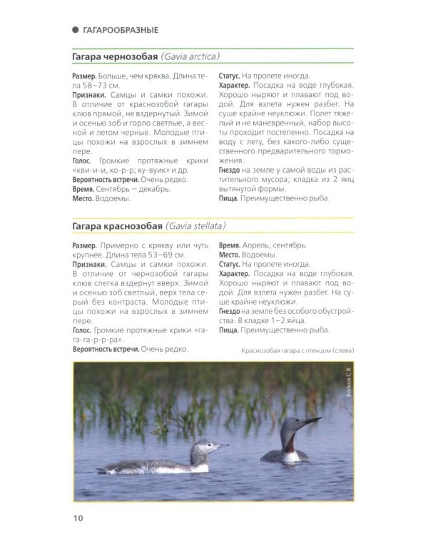 Птицы Северо-Запада; Птицы Москвы и Подмосковья (комплект из 2-х книг)