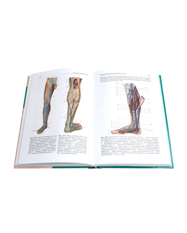 Анатомия человека: Учебник. В 2 т. (комплект из 2-х книг))