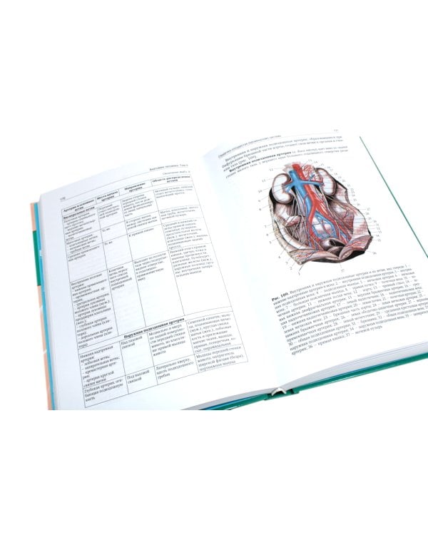 Анатомия человека: Учебник. В 2 т. (комплект из 2-х книг))