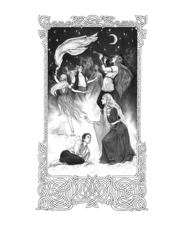 Лисы графства Рэндалл