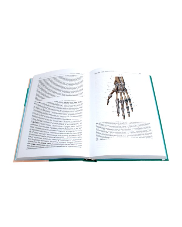 Анатомия человека: Учебник. В 2 т. (комплект из 2-х книг))