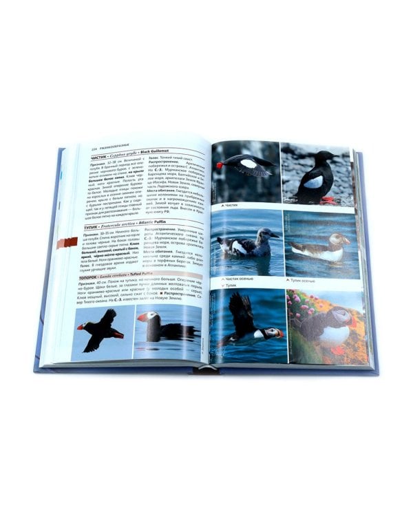 Птицы Северо-Запада; Птицы Москвы и Подмосковья (комплект из 2-х книг)