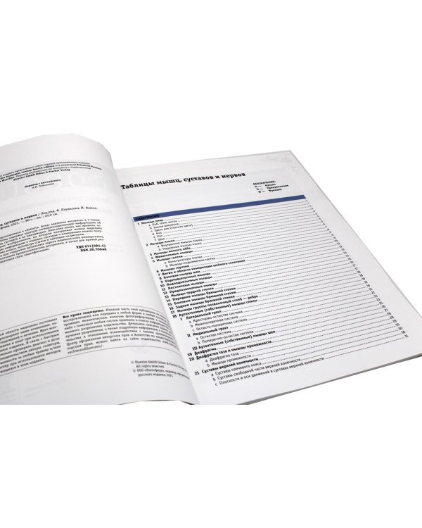 Sobotta. Таблицы мышц, суставов и нервов