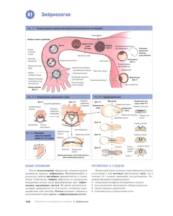 Наглядная медицинская генетика. 2-е изд., перераб. и доп