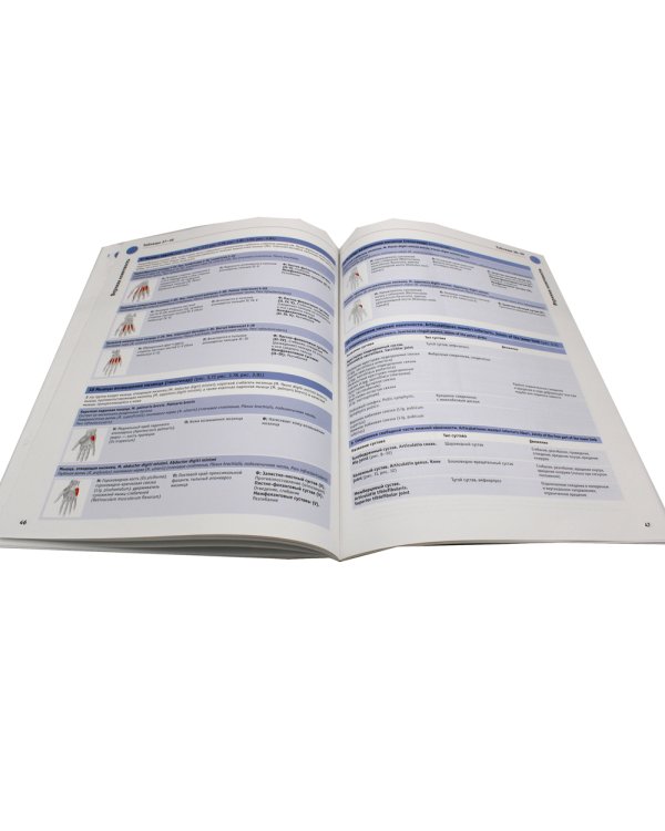 Sobotta. Таблицы мышц, суставов и нервов