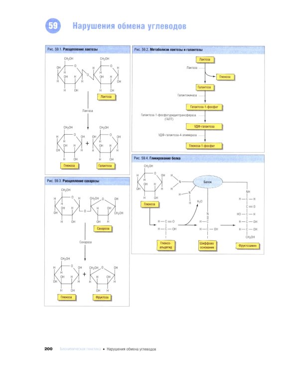 Наглядная медицинская генетика. 2-е изд., перераб. и доп