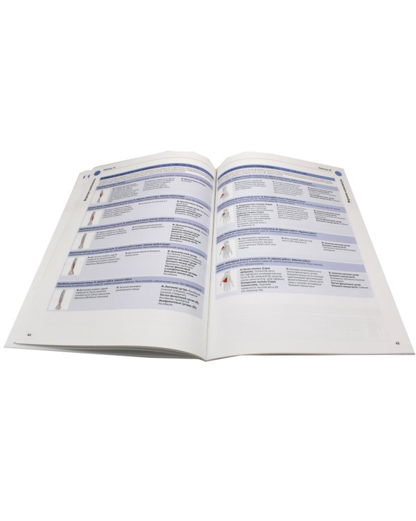 Sobotta. Таблицы мышц, суставов и нервов