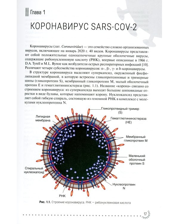 Реабилитация больных COVID-19 с кардиопульмональными осложнениями: руководство для врачей