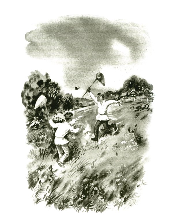 Рассказы о природе