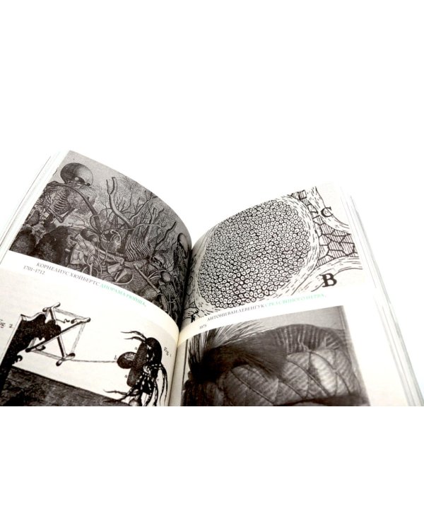 Жизнь - смерть. Лицо - тело: Эволюция представлений о человеке и ее отражение в искусстве. Идея выставки, которой не было