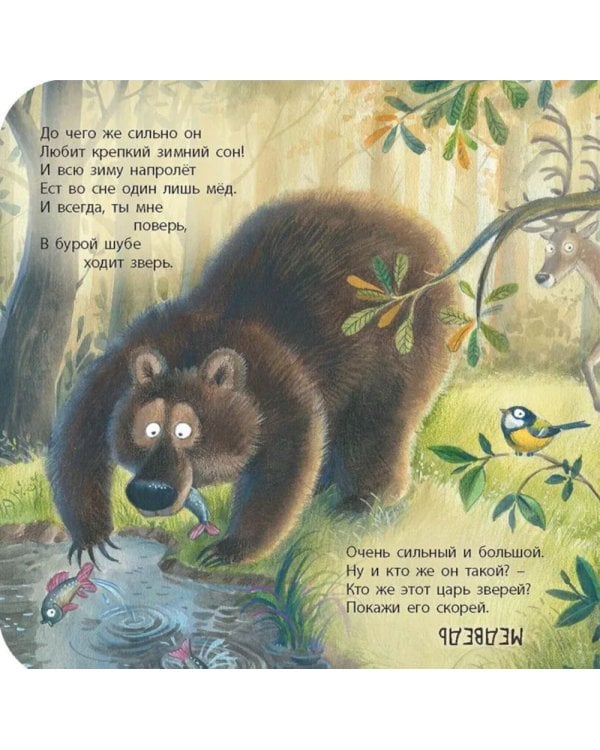 Лесная угадайка