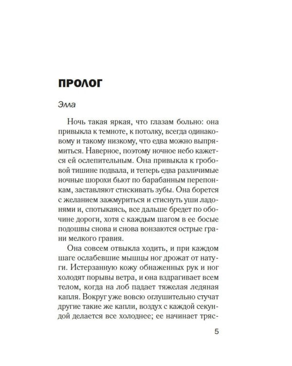 Тринадцать лет тишины: роман