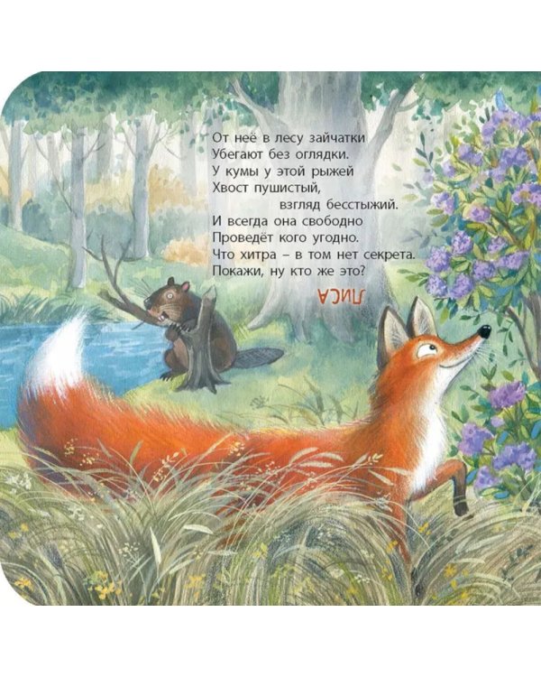 Лесная угадайка