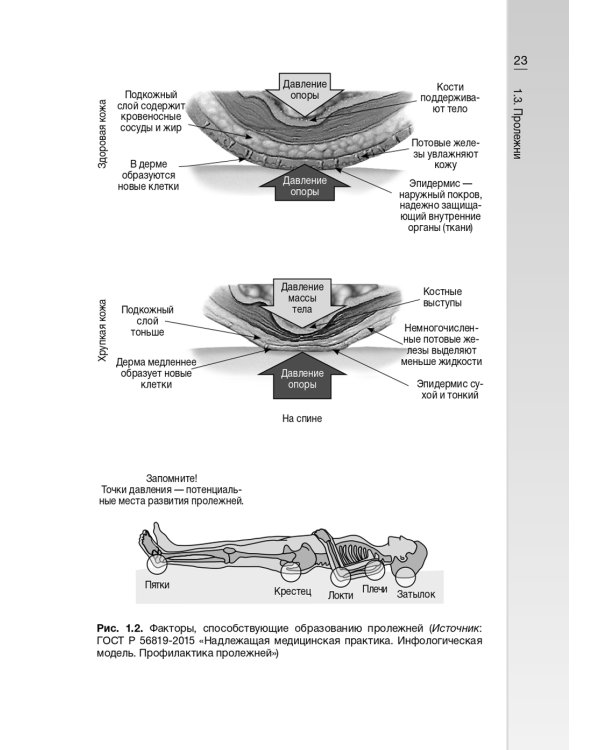 Гериатрические синдромы: руководство для врачей