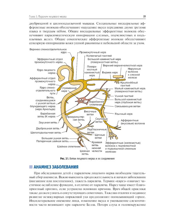 Детская оториноларингология для врача общей практики