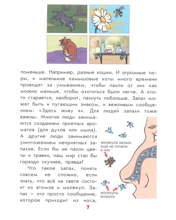 Настоящая физика для мальчиков и девочек