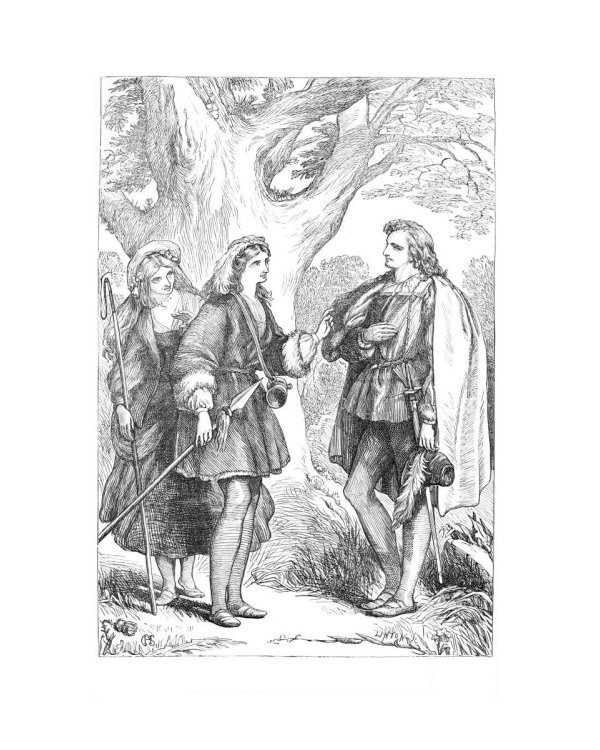 Как вам это понравится