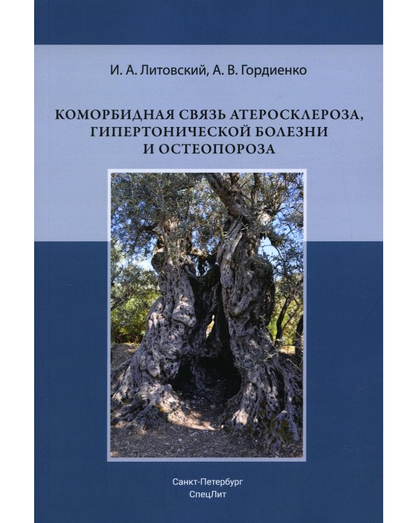 Коморбидная связь атеросклероза, гипертонической болезни  и остеопороза