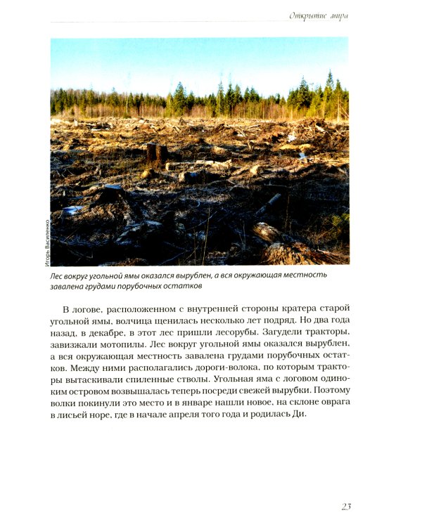 Волчьими тропами. Лесная быль