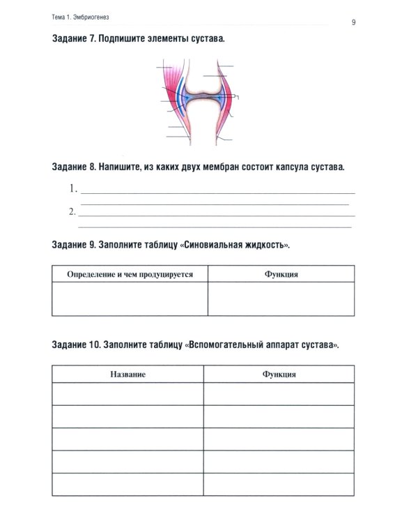 Анатомия человека: Опорно-двигательный аппарат. Ч. 2: Артросиндесмология: тетрадь-практикум