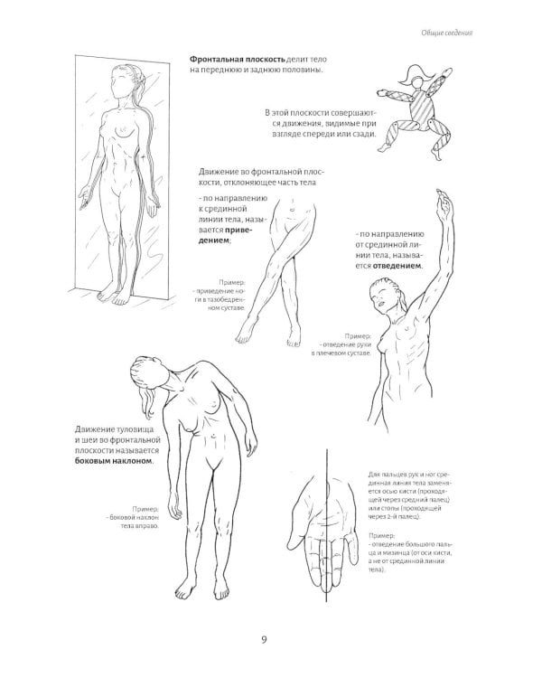 Анатомия движения: человеческое тело