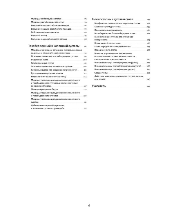 Анатомия движения: человеческое тело