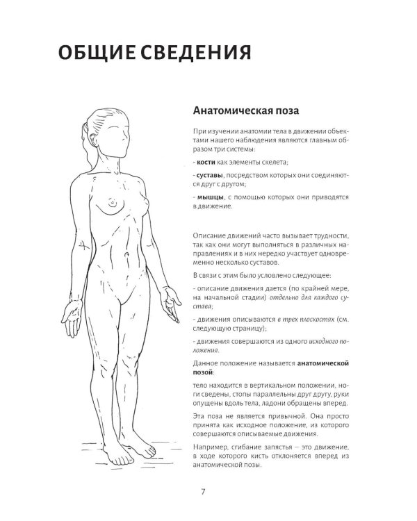 Анатомия движения: человеческое тело